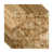 Bermuda Bronze