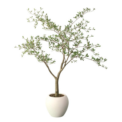 150cm Plant