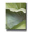  «Banana Leaf 1» par Brittany Evans, art mural sur toile, 26 po x 34 po-799473907