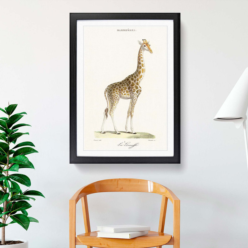 Giraffe by Florent Prevos - Picture Frame Painting Print, Black Framed, 48cm H x 36cm W x 2cm D