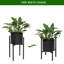 Support pour plante Cartert