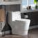 1.28 GPF Elongated ADA Height One Piece Dual-Flush Toilet with Soft-Closing Seat,MAP Flushing 1000G