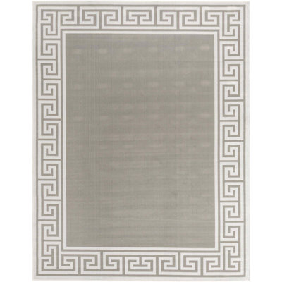 Tapis intérieur / extérieur gris Aminia