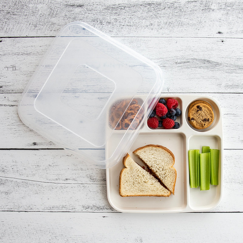 Plastic Divided Serving Dish with Lid