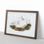 Northern Hare in Winter by J.W. Audubon - Picture Frame Painting Print-55724896-55724895