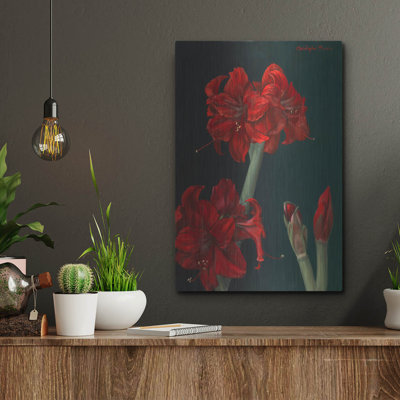 " Amaryllis Amigo " by Christopher Pierce