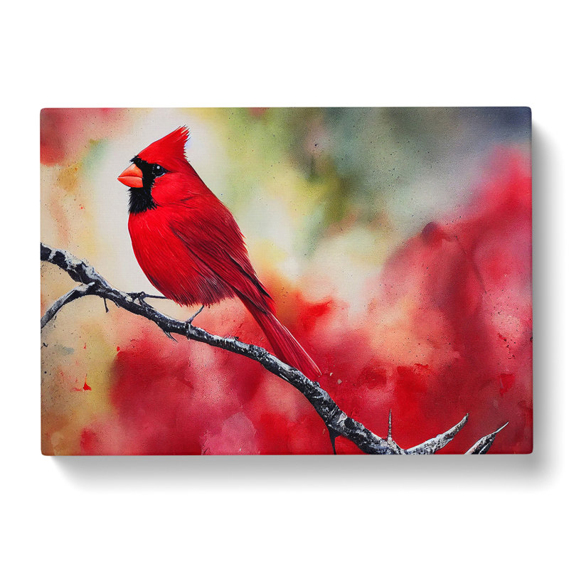 Cardinal Bird Vol.15 - Wrapped Canvas Painting, 35cm H x 50cm W x 3cm D