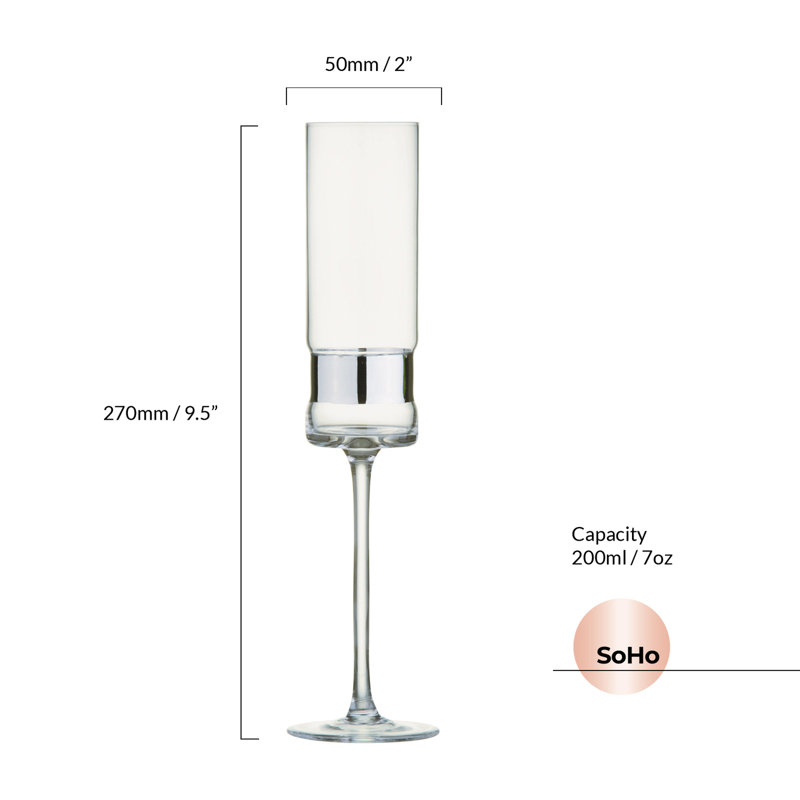 Soho 6.75oz. Champagne Glass Stemware Set, Silver