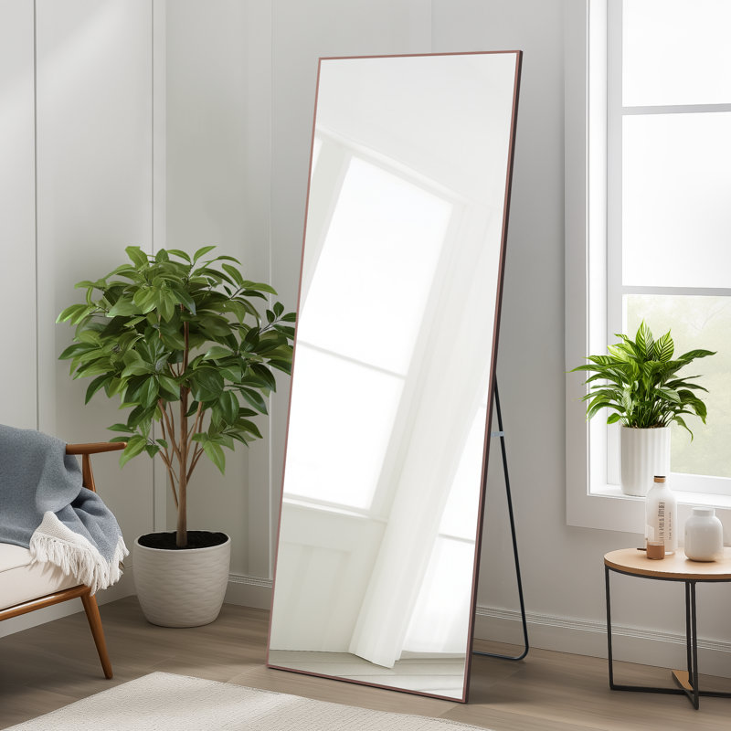 Tenneil Modern & Contemporary Full Length Mirror, Brown