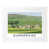 White Wood Frame selected