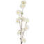Cherry Blossom Arrangement-268176596-268176599
