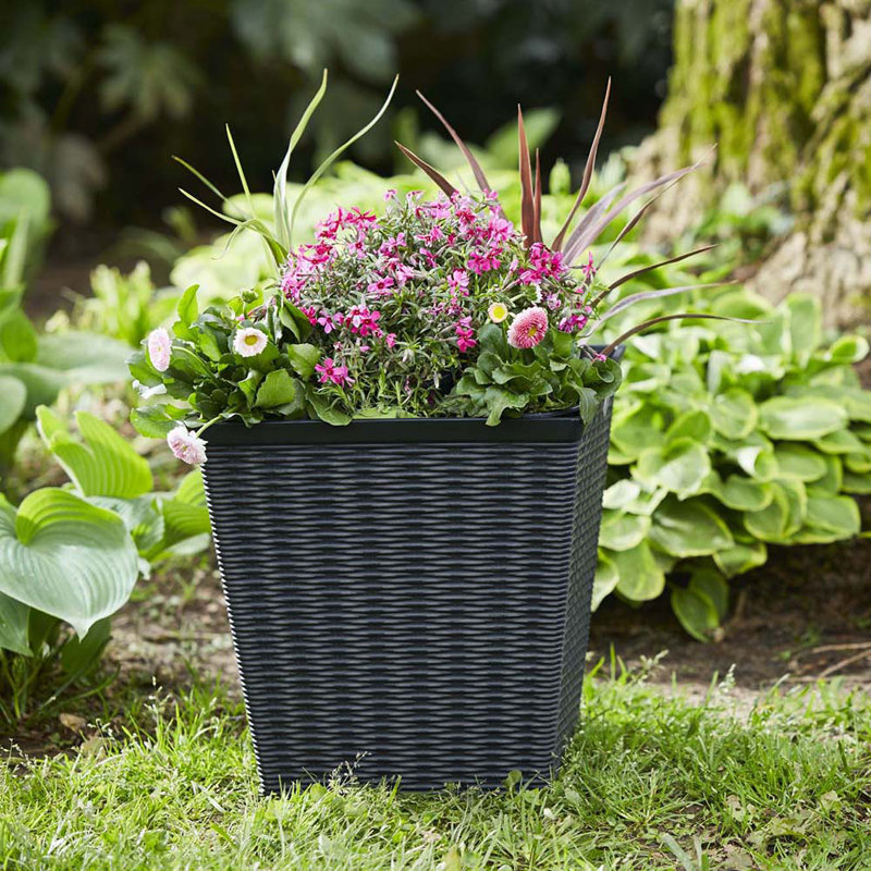 Jardinière carrée en osier 15 po, café foncé