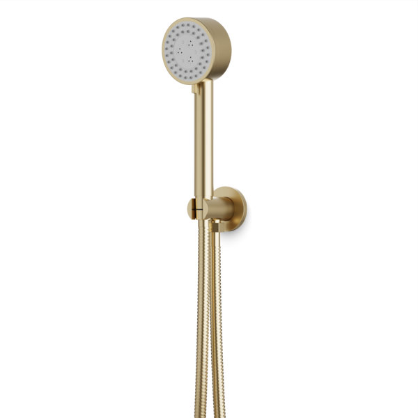 Multi Function Flexible Hose Shower Kit, Satin Brass