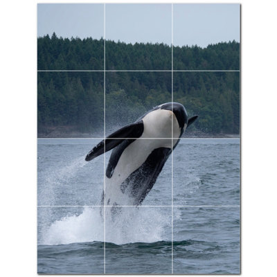 Photo d'une baleine 4,25 po x 4,25 po