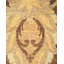 Shalev One-of-a-Kind 8' 2" X 10' 4" Hand Knotted Area Rug