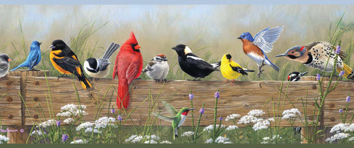 Tiya Songbird Menagerie Portrait Bird 3D Embossed Wallpaper Border