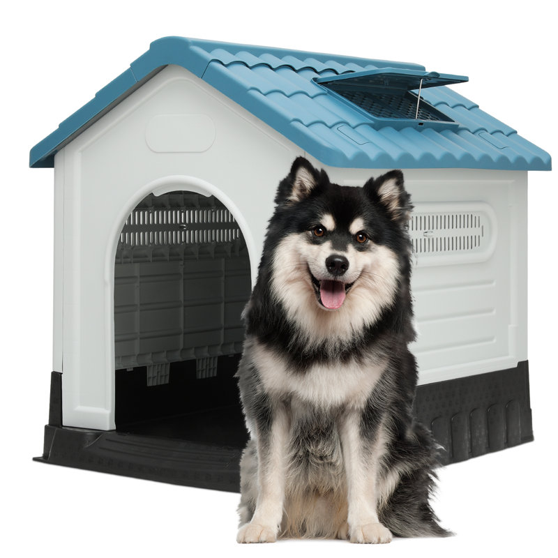 Medium Blue and White Plastic Dog House with Skylight