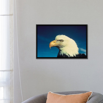 Modern & Contemporary