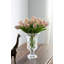 Fausse tulipe Tucson-1761452369-1761452374