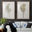«Farmhouse Pressed Flower I», ensemble de 2 impressions-1472801472-1472801479
