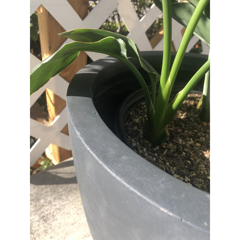 Pot à fleurs en béton Karola, Gris anthracite, H 12 po x l 14 po x P 14 po