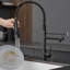 Robinet commercial en acier inoxydable pour évier de cuisine, rétractable, levier à poignée simple, noir, performance durable en acier, décoration moderne-130491085