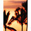 Panneau mural Balentine-315251650