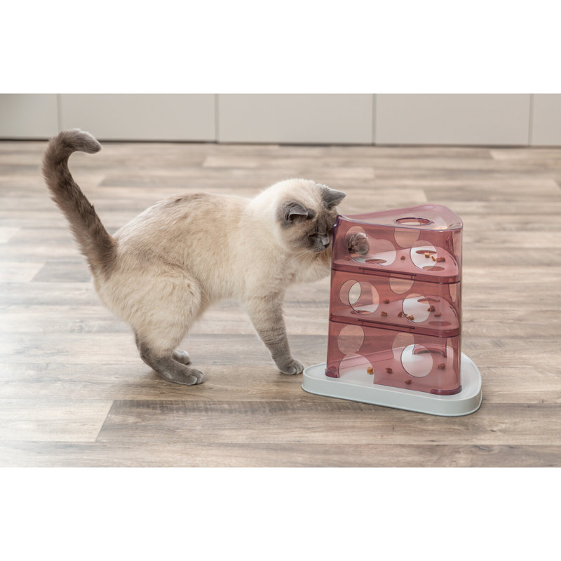 Tour à fromage pour chat