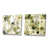 Toile tendue
