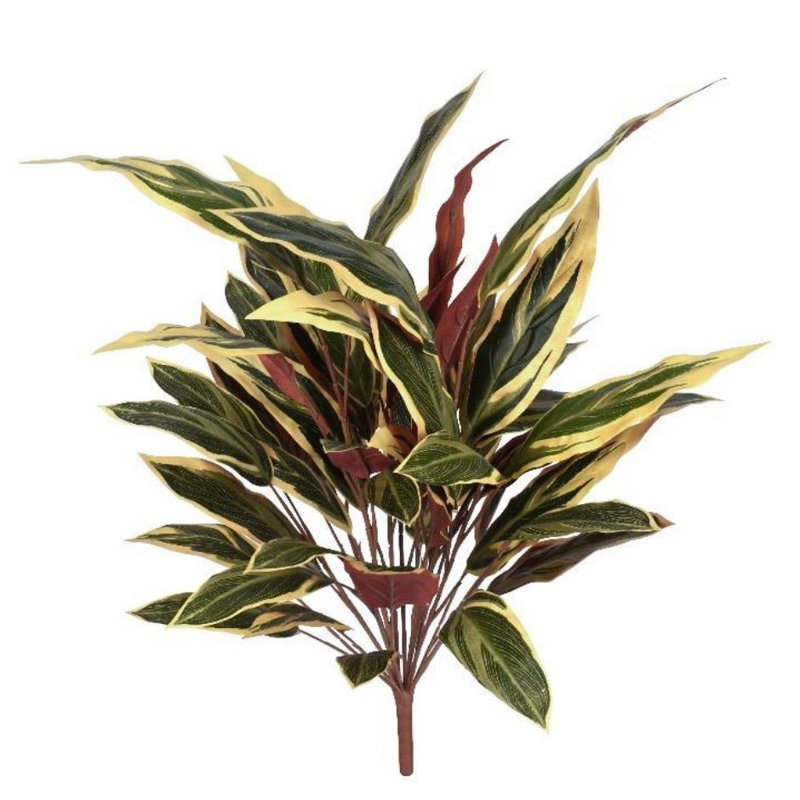 Andwele Arrangement