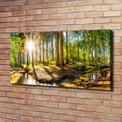 Panorama Of The Forest - Wrapped Canvas Print