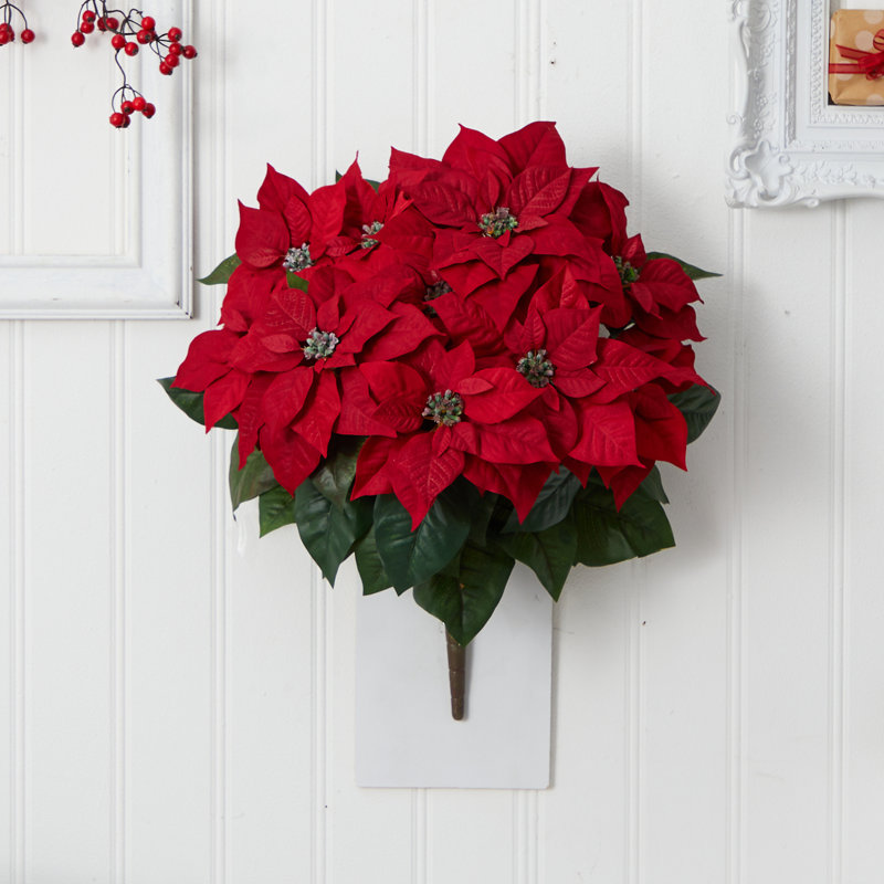 Arrangement floral poinsettia, Red