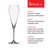 Willsberger Anniversary Champagne Flute Glass