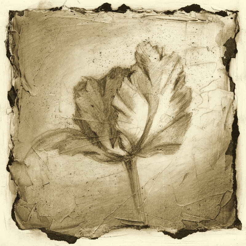 Floral Impression V by Ethan Harper - Wrapped Canvas Art Prints, 30cm H x 30cm W