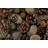 Pine Cones Galore by Magnetcreative - Wrapped Canvas Print-1738627921