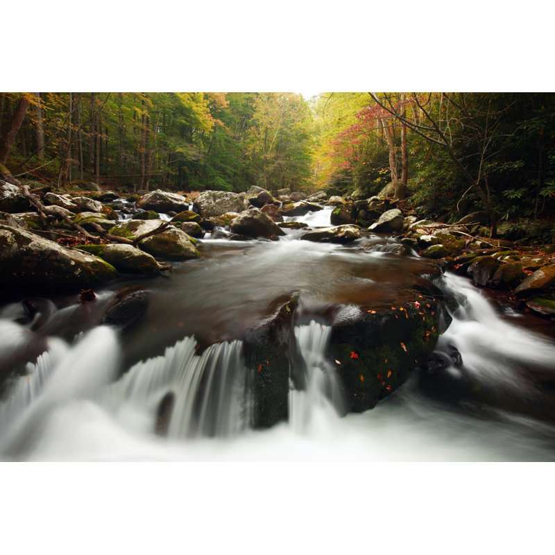 Great Smoky Mountains National Park by Veni - Wrapped Canvas Print, 30cm H x 46cm W