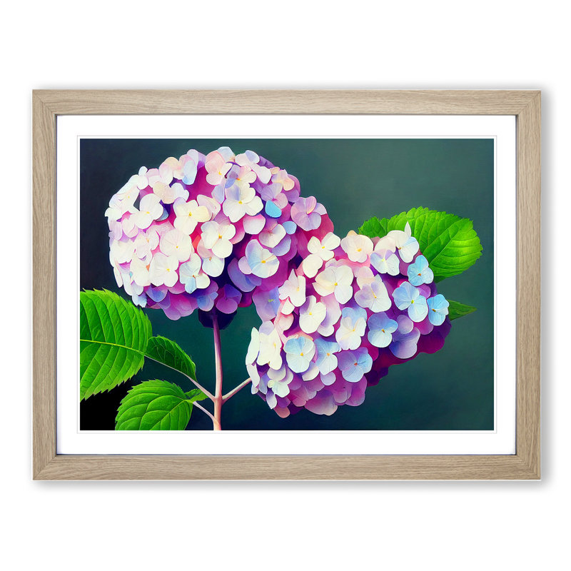 Glowing Hydrangea Flowers - Framed Print