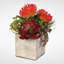 Faux Succulent Plant in Concrete Pot