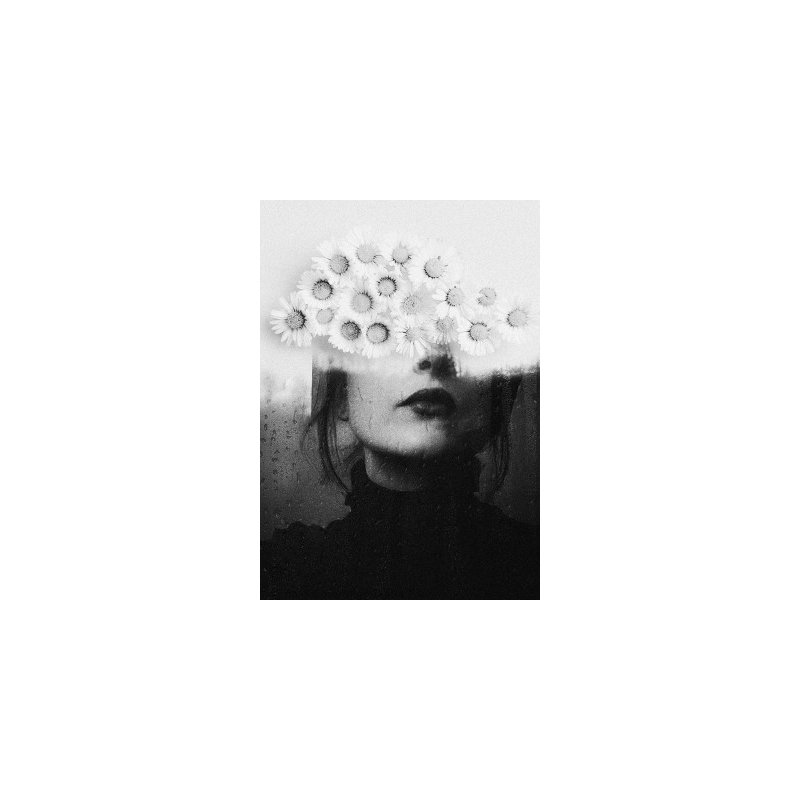 Wrapped Canvas Print, 50.8cm H x 76.2cm W