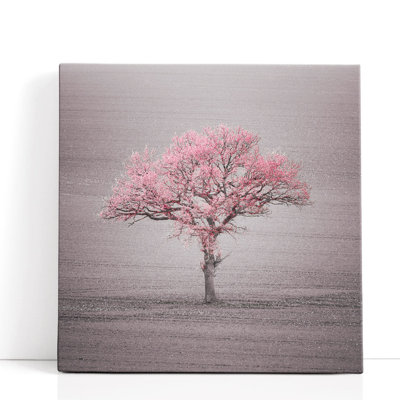 «Single Tree in Foggy Grassfield», reproduction d'art sur toile