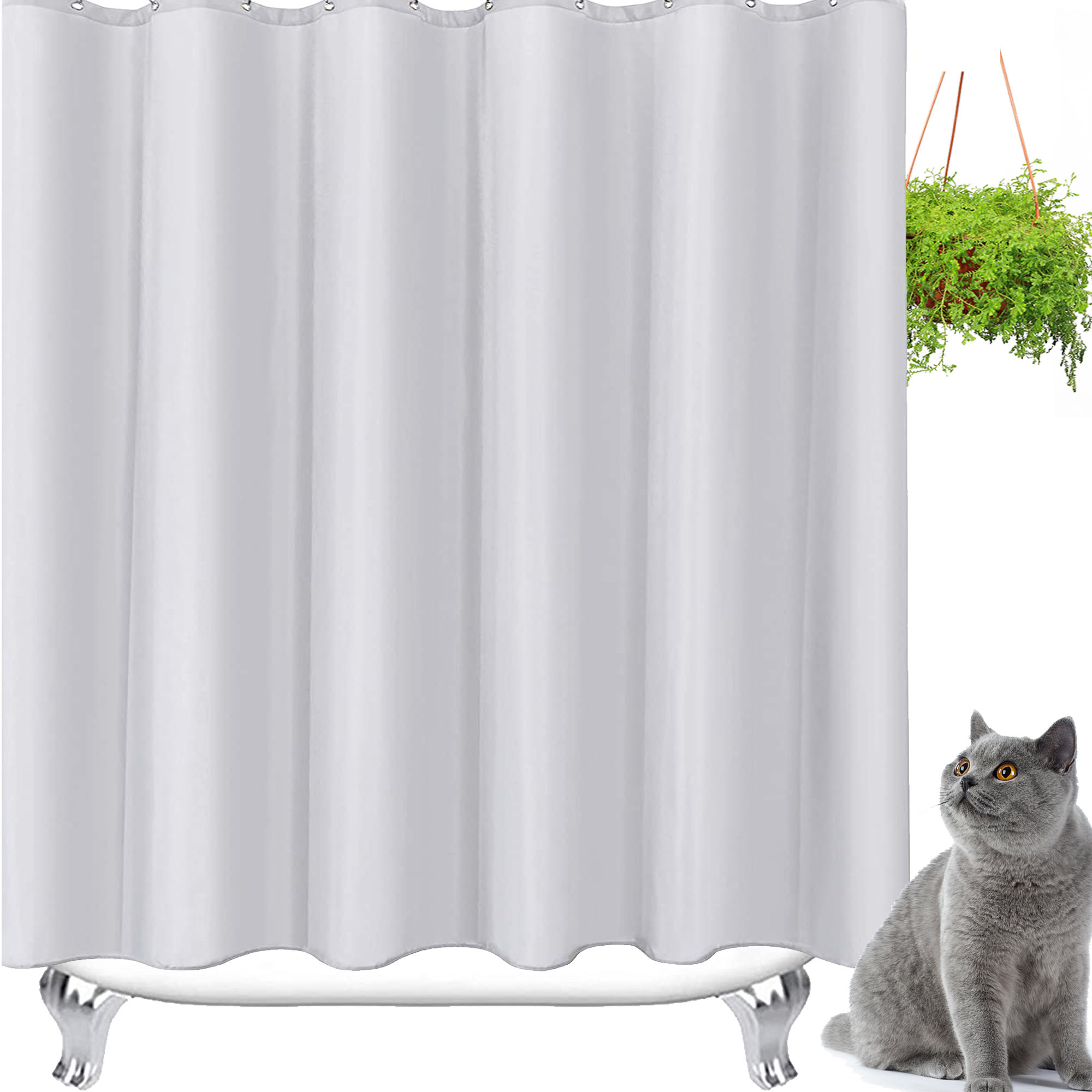 Eider & Ivory??? 12 Piece Shower Curtain Set + Hooks Wayfair