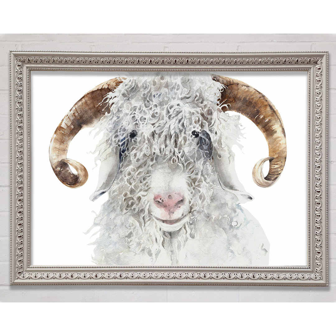 Sheep Beauty - Einzelner Bilderrahmen Kunstdrucke