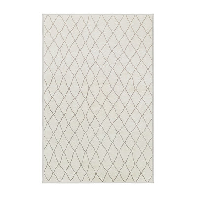 Tapis gris Brodea