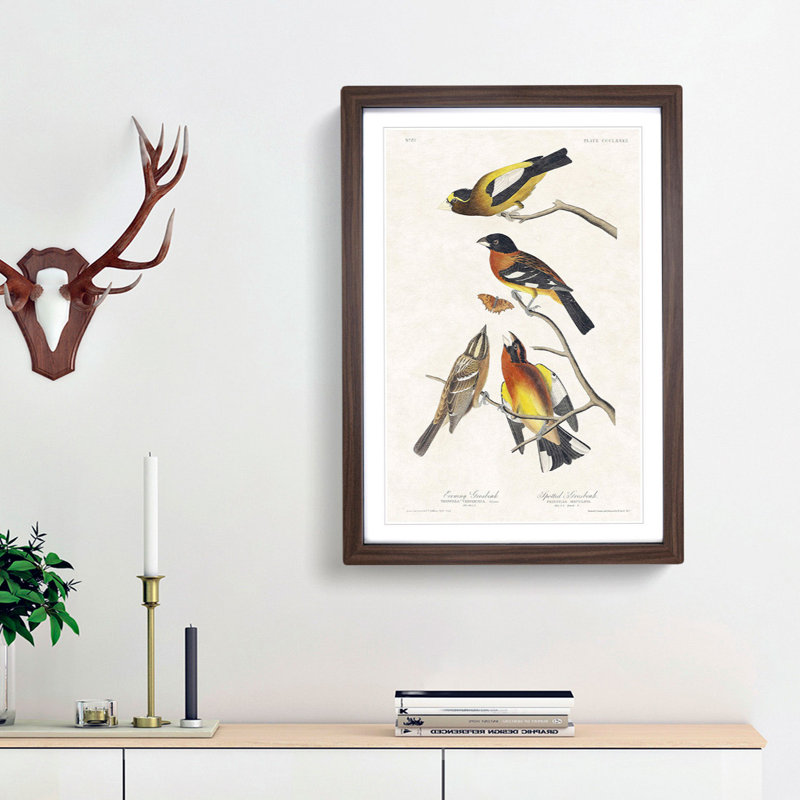 Grosbeak Birds by John Audubon - Picture Frame Painting Print, 65cm H x 48cm W x 2cm D, Walnut Framed