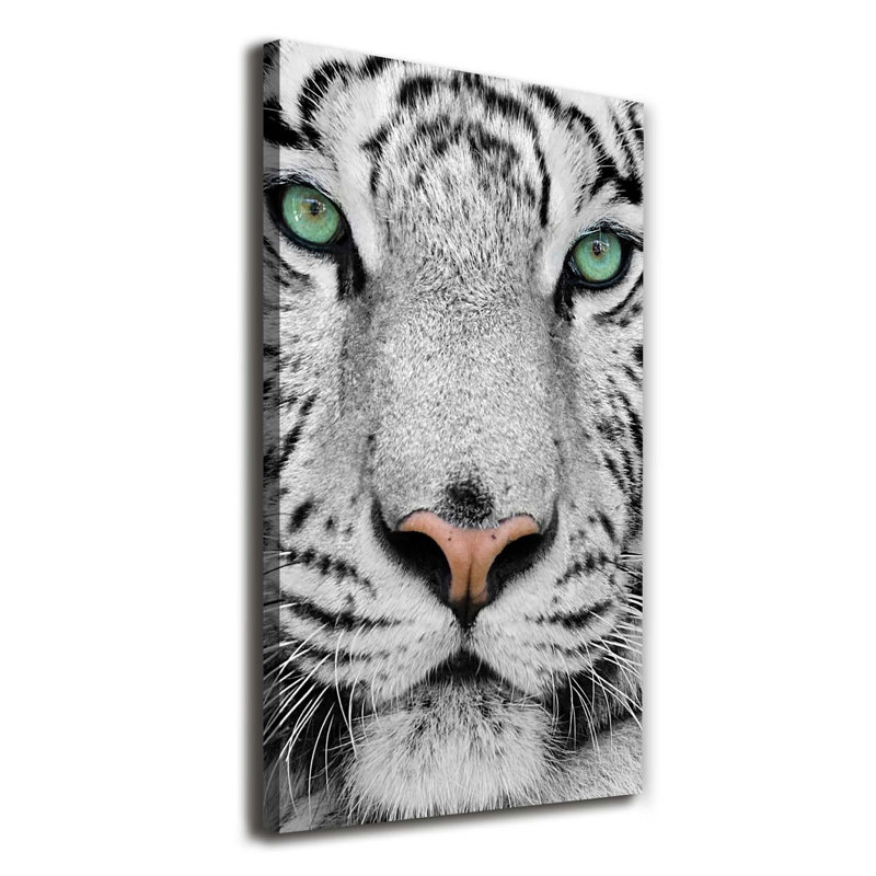 White Tiger - Wrapped Canvas Print
