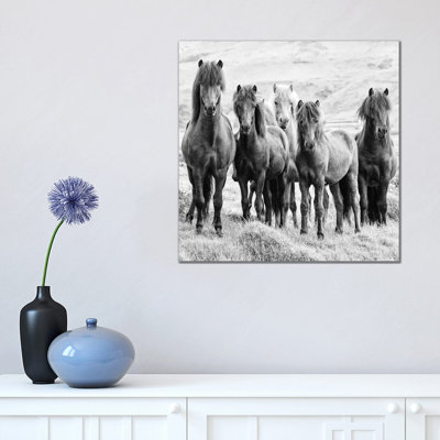 B And W Horses VIII by PHBurchett - Wrapped Canvas Print