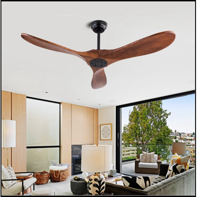 Conkle with 3 Blades and Remote Control