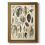 Seashell présent sur toile de qualité supérieure - prêt à être accroché-1218566576