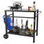 Chariot de salle à manger d'extérieur avec double tablette, table de préparation pour barbecue mobile, plateau de table en fer multifonctionnel, chariots modulaires portables pour four à pizza, table de travail à 2 roues, poignée de transport