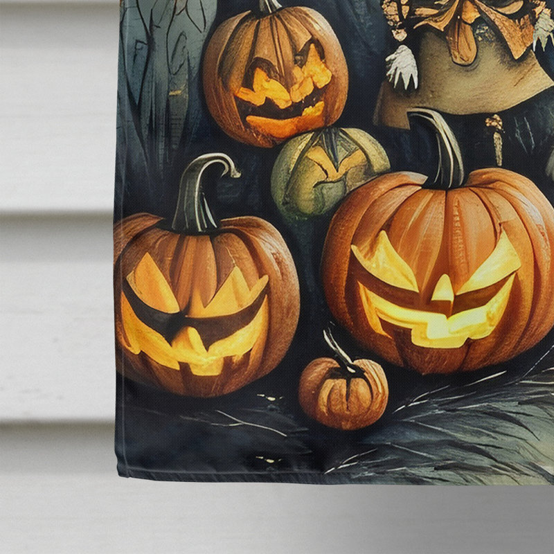 Double Sided 40'' H x 28'' W Polyester Halloween House Flag